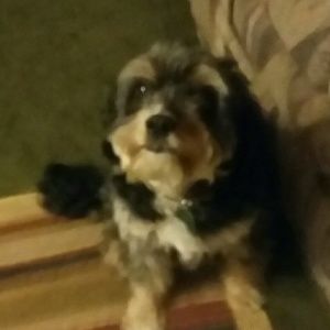 Meet your Posher, Vera